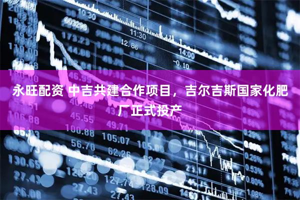 永旺配资 中吉共建合作项目，吉尔吉斯国家化肥厂正式投产